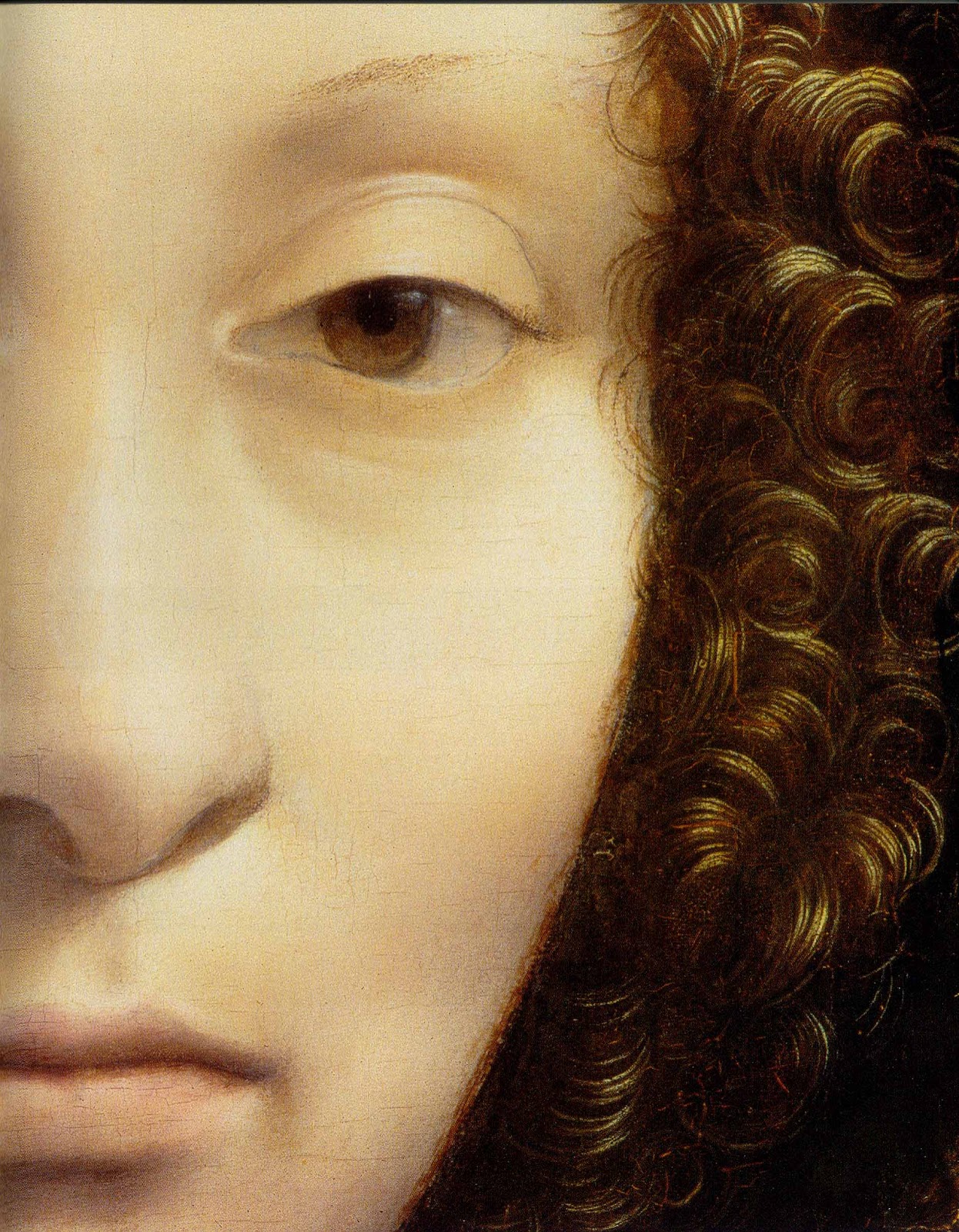 Leonardo+da+Vinci-1452-1519 (918).jpg